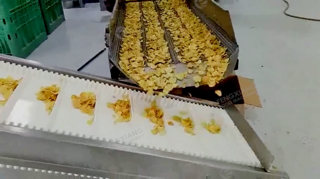 french fries production line 