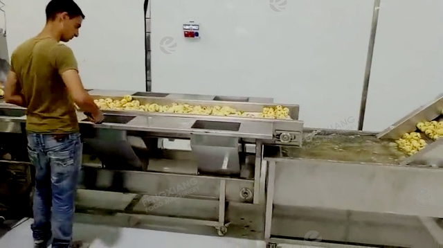 french fries production line 