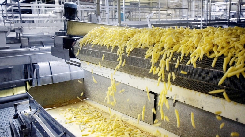 french fries production line 