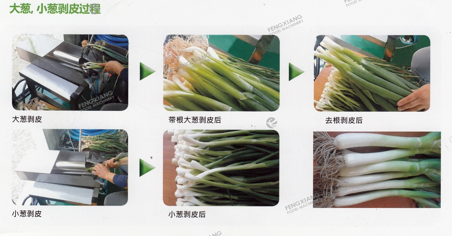 industrial green onion peeling machine Scallion  peeler