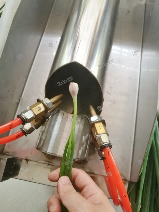 industrial green onion peeling machine Scallion  peeler