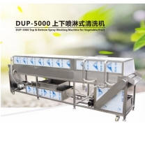 DUP-5000 Top&Botom high spray fruit and vegetable washing machine