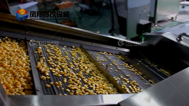 Potato Chips Blanching Machine