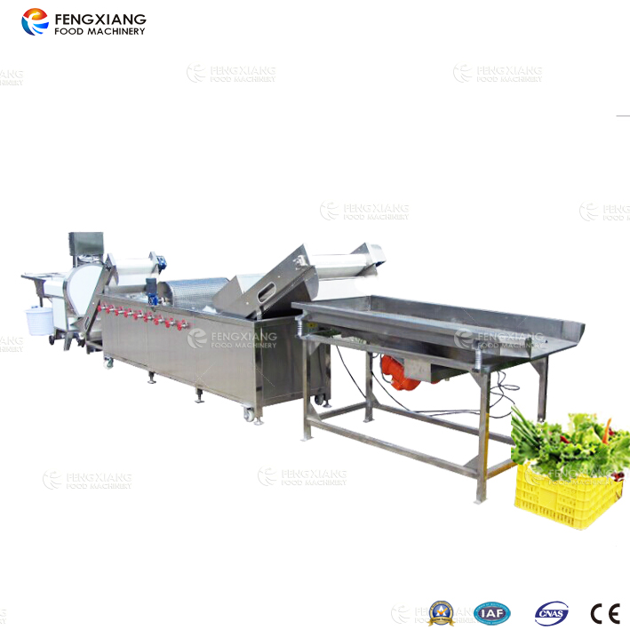  vegetable cutting and washing production line