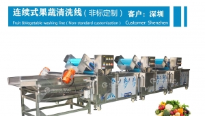 Fengxiang manufacturers Non-standard Customization： Fruit & Vegetable Washing Line