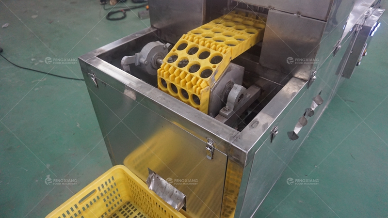 pitting machine outlet
