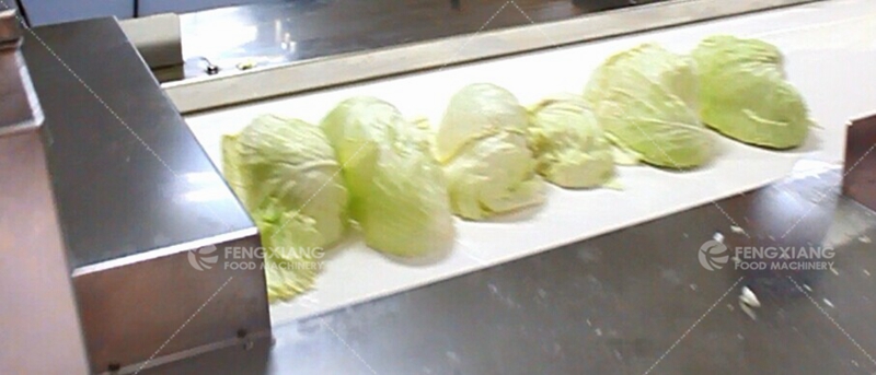 Cabbage Shredding Machine