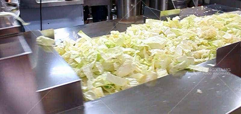 Cabbage Shredding Machine