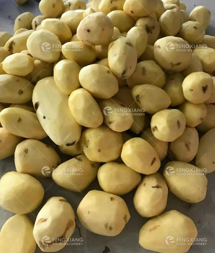 potato peeling machine for sale