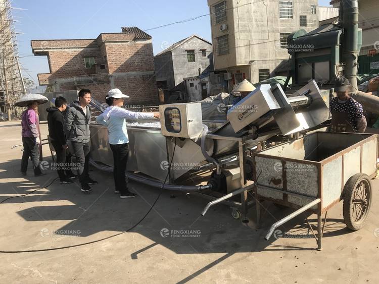 Gordon Euryale Seed washing machine