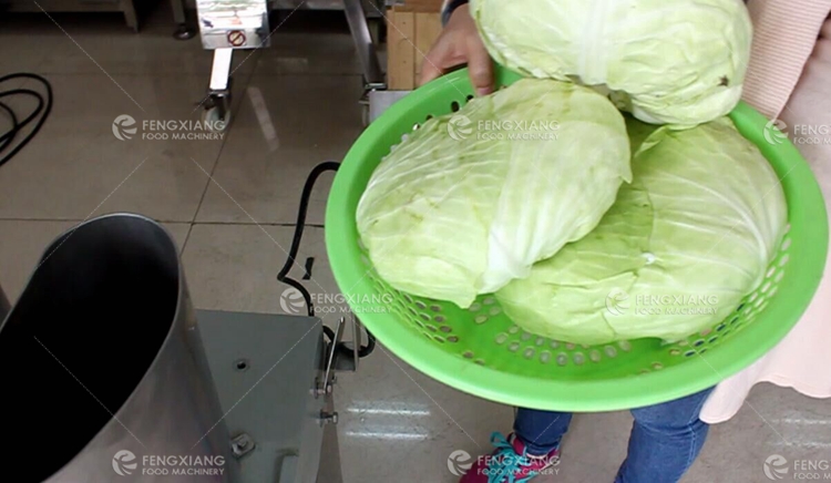 cabbage shredding machine 