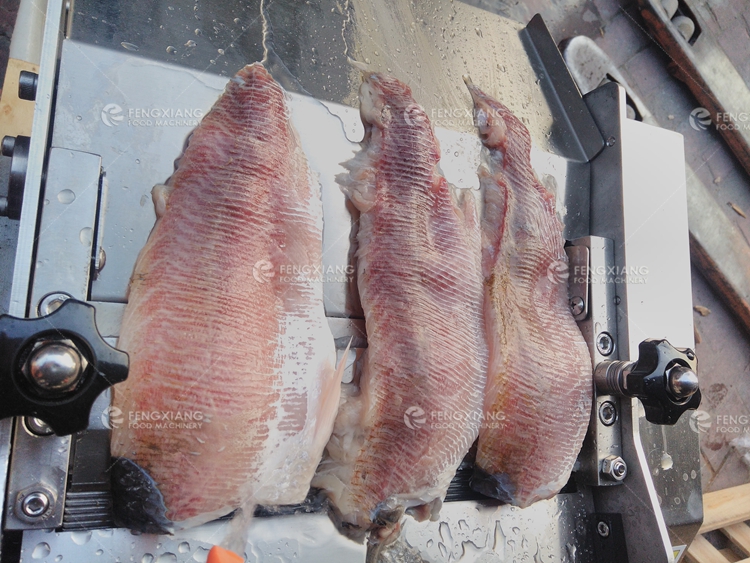 Squid Fish Skin Peeling Machine 