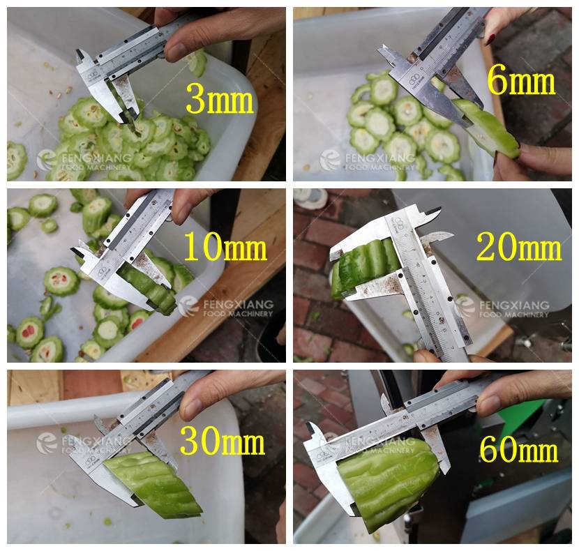 Bitter Gourd Slice Cutting Machine