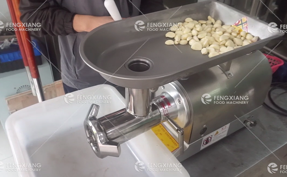 garlic  grinding machine