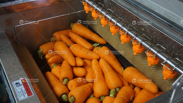 carrot peeling washing machine