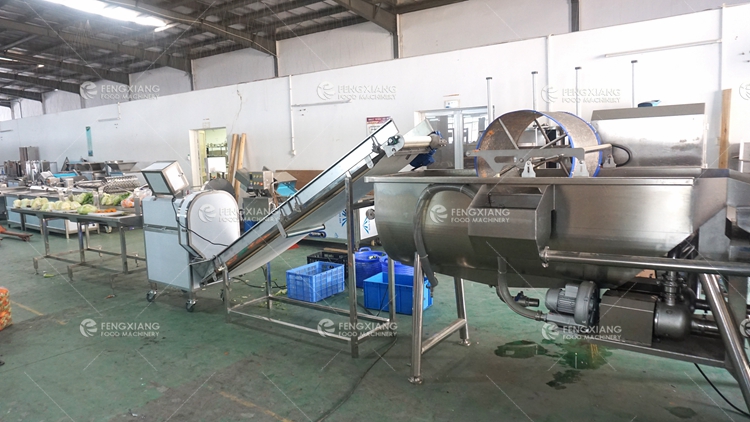 industrial vegetable processing line