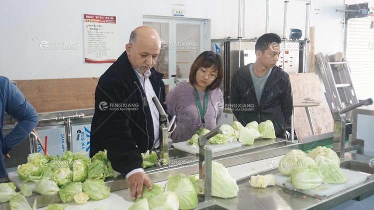 industrial vegetable processing line