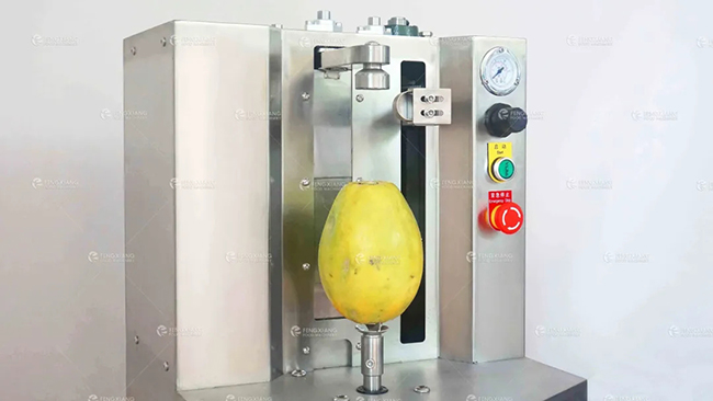 automatic fruit peeling machine 