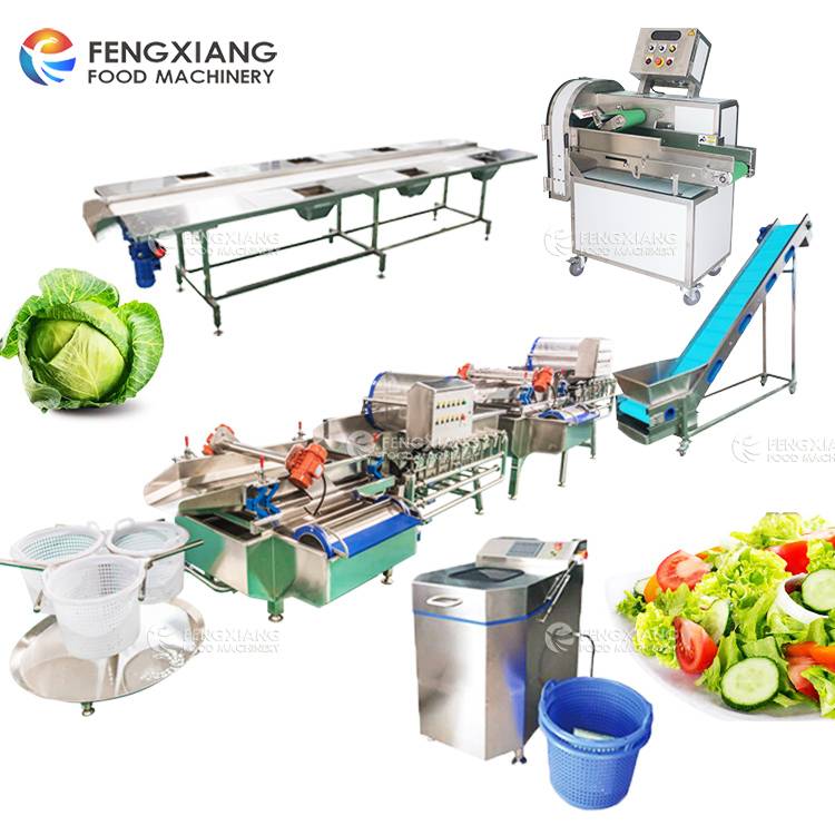 Fengxiang industrial leaf vegetable cutting washing machine carrot processing line