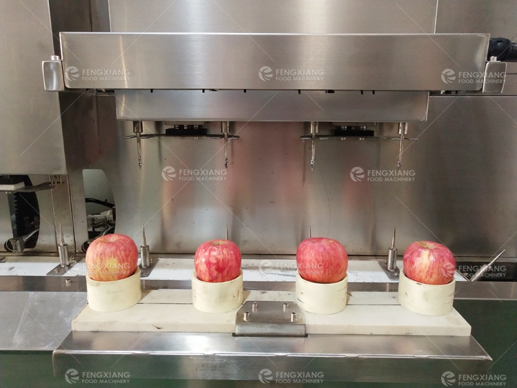 Automatic Apple Peeling and Coreless Splitter