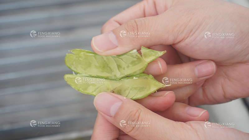 Edamame Shelling Machine