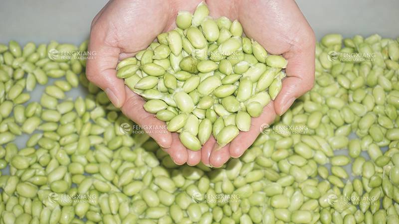 Edamame Shelling Machine