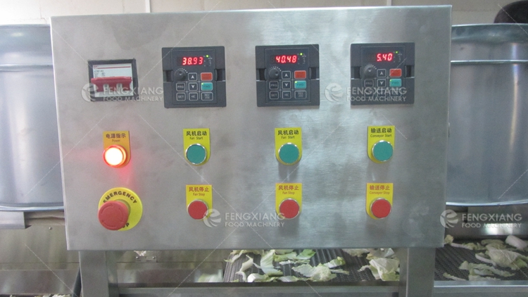 vegetable fruit cold air drying machine
