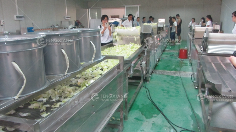 vegetable fruit cold air drying machine