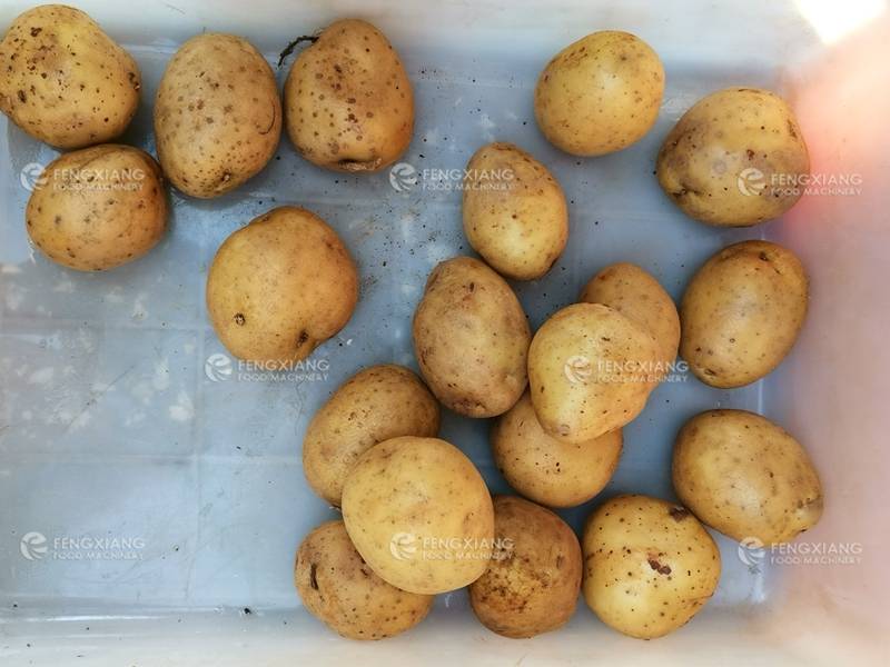  Automatic Potato Peeling Machine