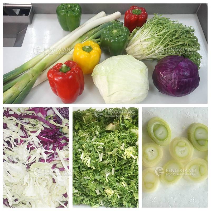 Large Capacity Vegetable and Fruit Cutting Machine