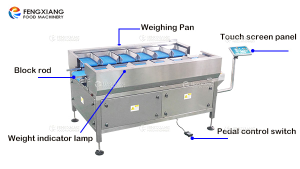 food digital electronic weight scale system machine