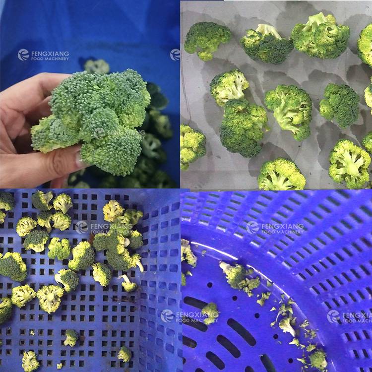 broccoli grading machine 