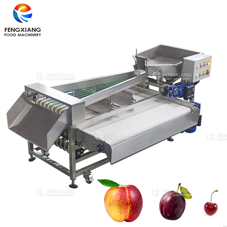 vegetable sorting machine