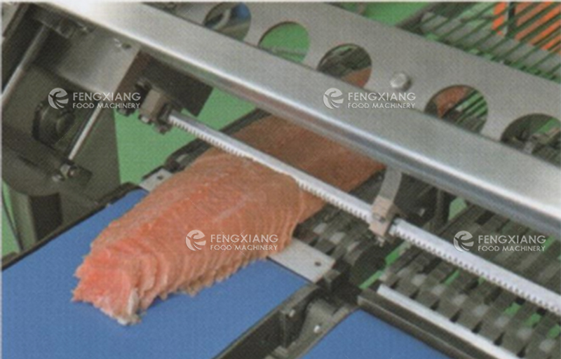 Salmon Bevel Cutting Machine