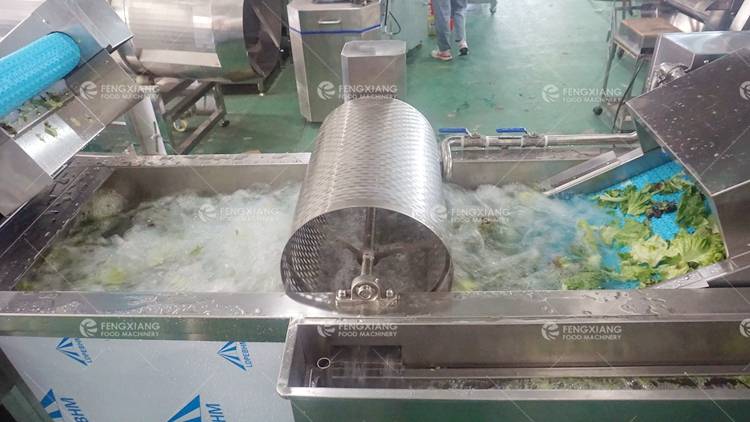 Vegetable Salad Processing Line