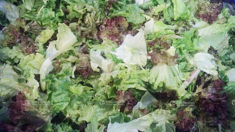 Vegetable Salad Processing Line