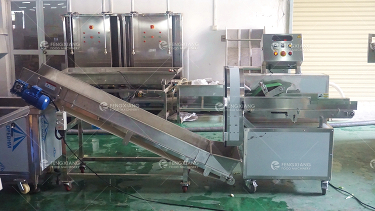 Vegetable Salad Processing Line