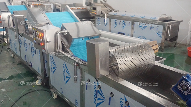 Vegetable Salad Processing Line