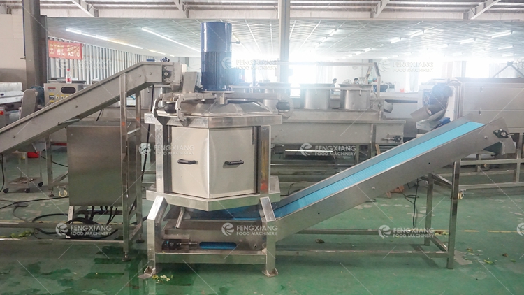 Vegetable Salad Processing Line