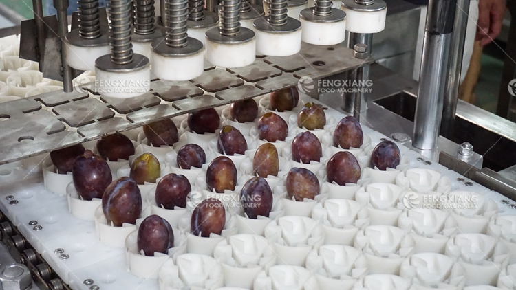 Automatic Prune Core Removing Separating Machine