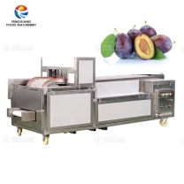 Fengxiang Automatic Apricot Seed Pitting Machine Prune Core Removing Separating Machine