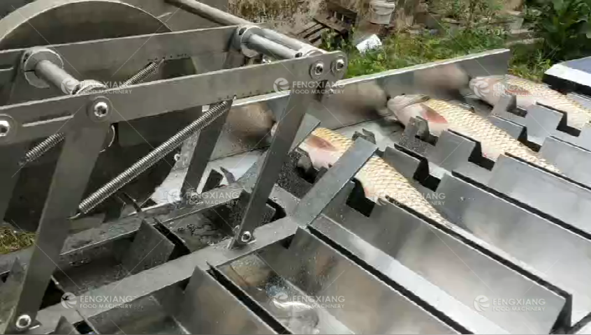 Automatic Fish Head Cutting Machine