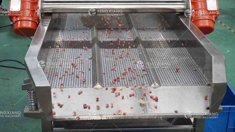 Pomegranate juice making production line