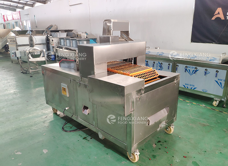 Automatic cherry pitting Machine