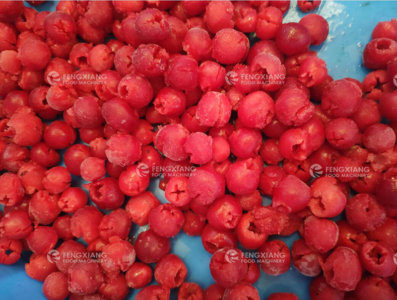 Automatic cherry pitting Machine