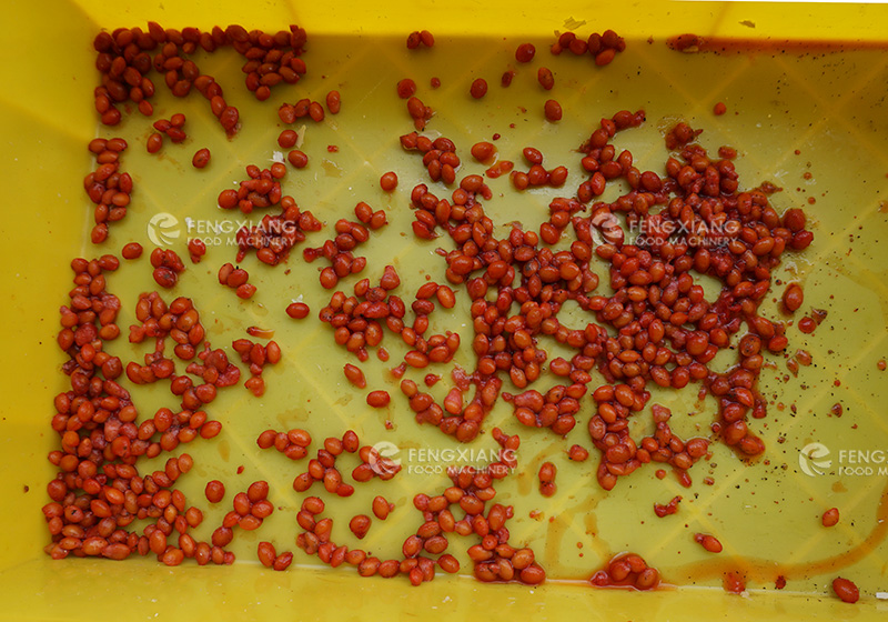 Automatic cherry pitting Machine