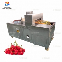 Commercial Automatic Cherry Pitting Machine Fruit Destoning Machine