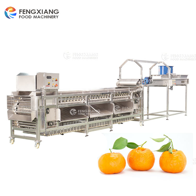 Fengxiang fruit sorting machine