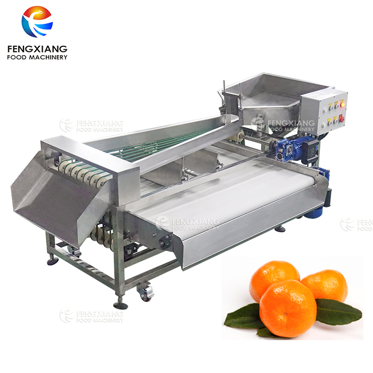 Fengxiang fruit sorting machine