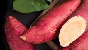 It's the sweet potato season, how to process the